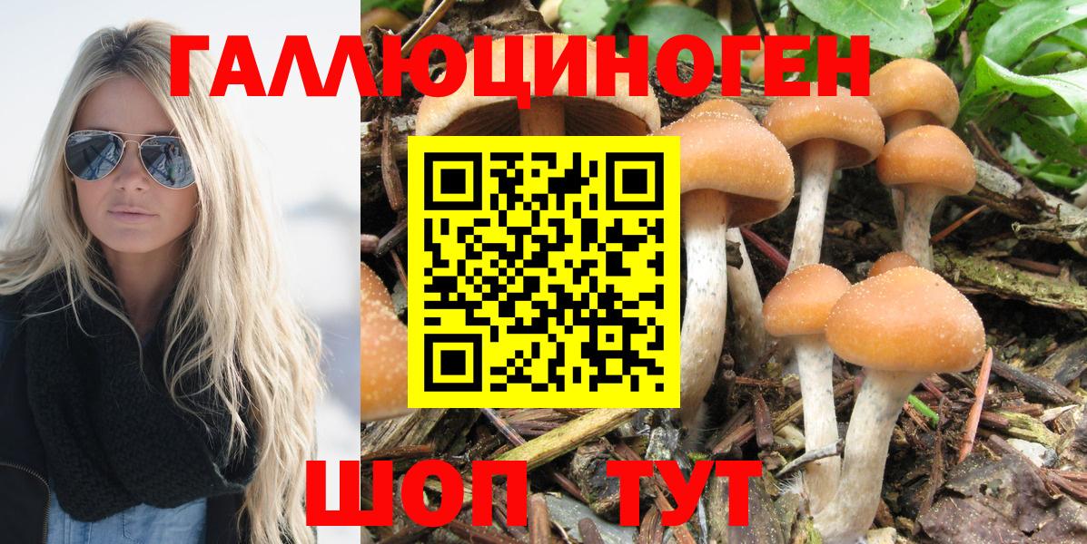 Гудермес  Галлюциногенные грибы ЛСД  Галлюциногенные грибы мухоморы  Вход с VPN 